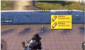 臭宝贝的名字和平精英怎么改,从新手到高手的蜕变之路