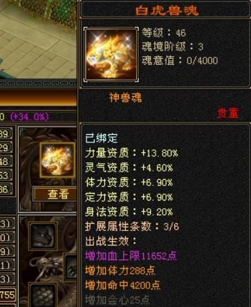 《怀旧服玄魂技能加点攻略》(精准分析+实用建议,助你在怀旧服中游刃有余)