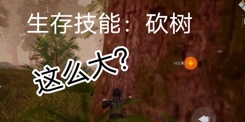 《黎明觉醒营地技能加点攻略》（最强技能加点方法，助您在战斗中脱颖而出！）