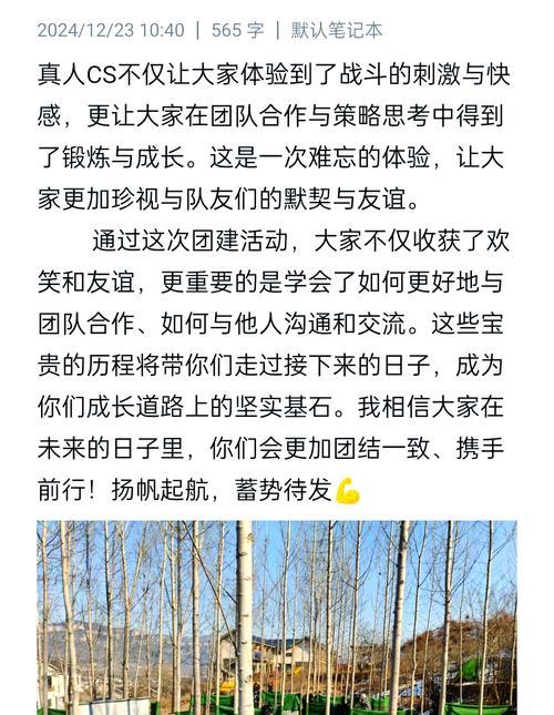 团队默契大挑战游戏攻略（打造无敌团队合作默契之道大揭秘！）