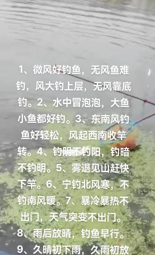 微信游戏实况钓鱼攻略（成为顶级钓手，破解钓鱼秘籍！）