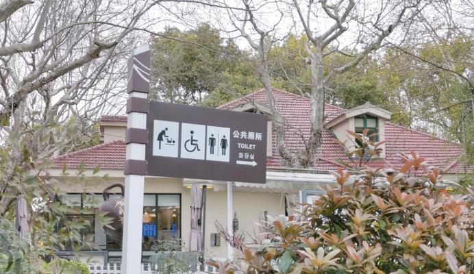 《长风公园攻略游戏，尽揽美景畅玩乐趣》（畅游长风公园，体验自然与文化的完美融合）